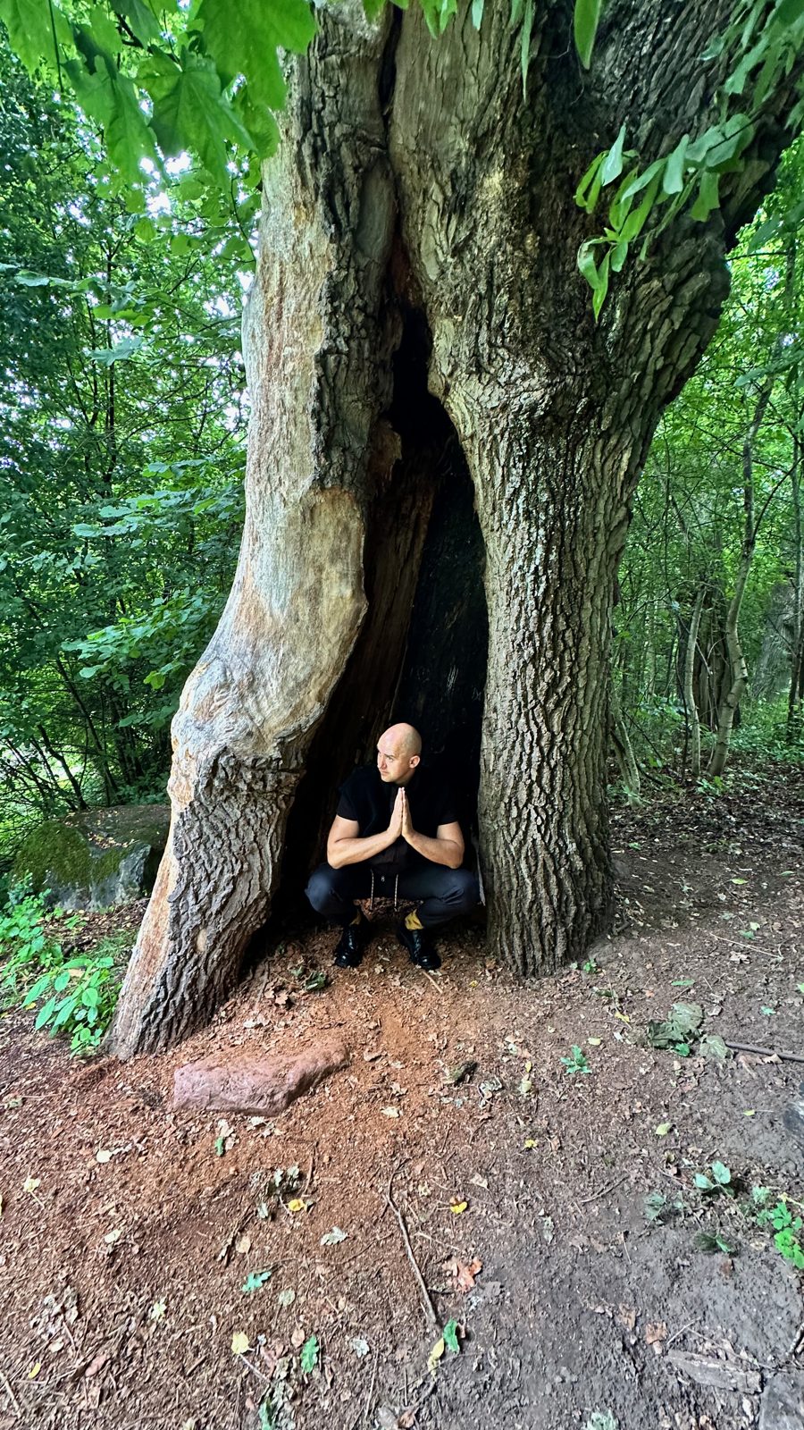 Lee crouched inside the hollow of an ancient tree in a Vilnius park, hands pressed together, black t-shirt, looking to the side; green forest light, red earth at the roots.